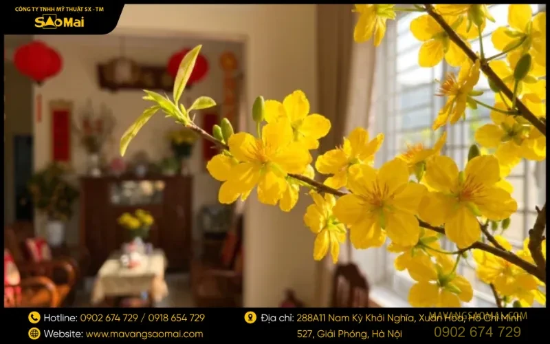 Mang đến vẻ đẹp ấm áp cho không gian
